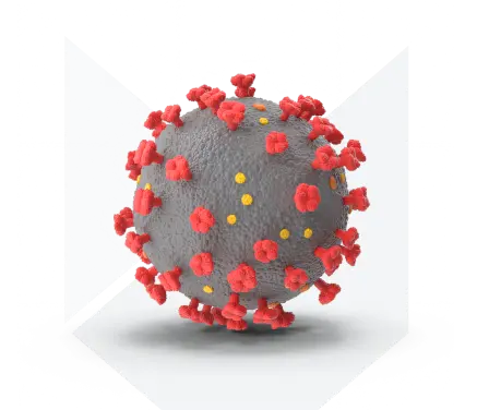 Дезинфекция